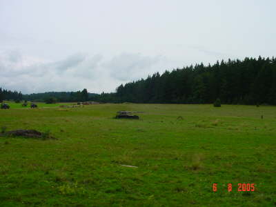 DSC00871