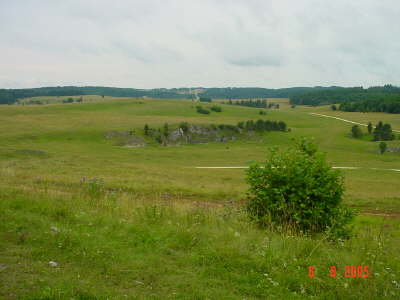 DSC00881