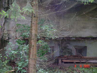 DSC00892
